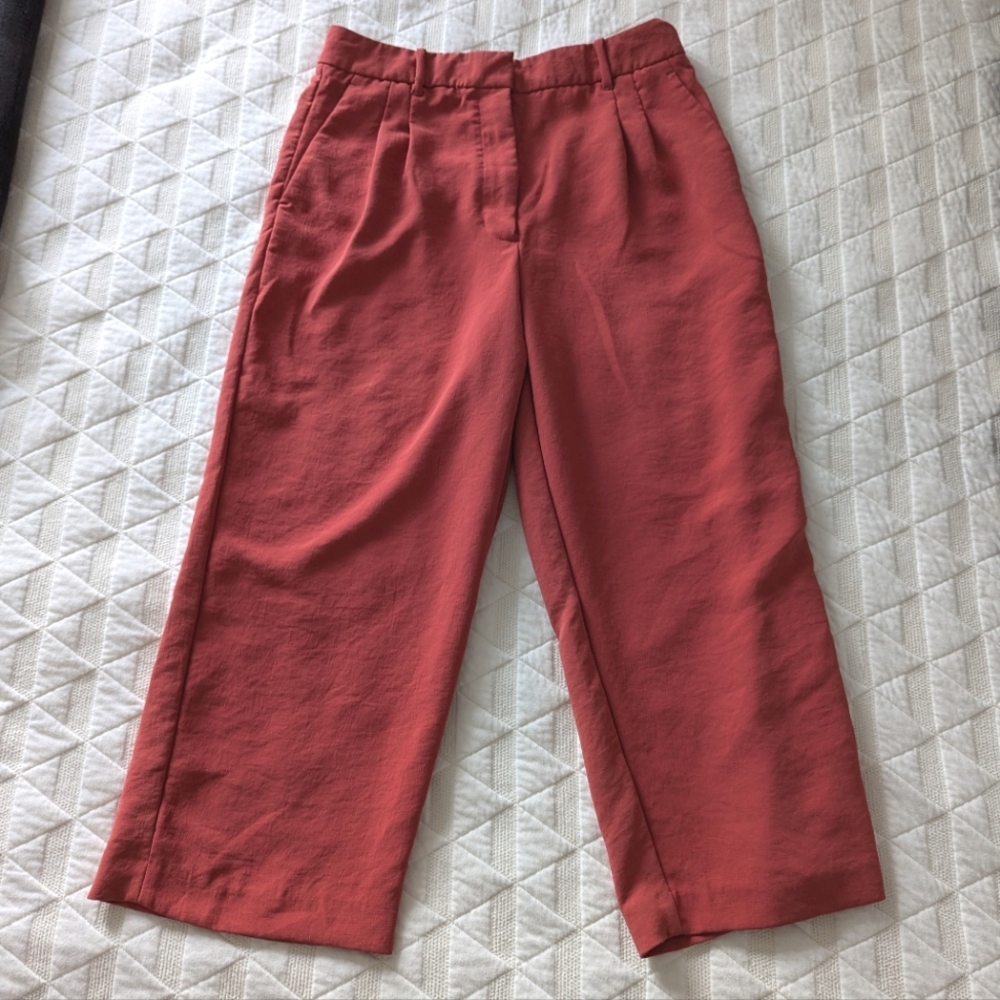 Wilfred The Limitless Cropped Pant Size 12
